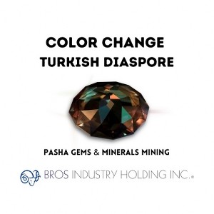 IGSL - Uluslararası Gemoloji Laboratuvarı